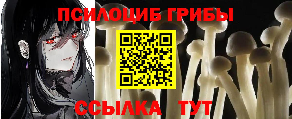 Галлюциногенные грибы мицелий  Вход с VPN  Северобайкальск 