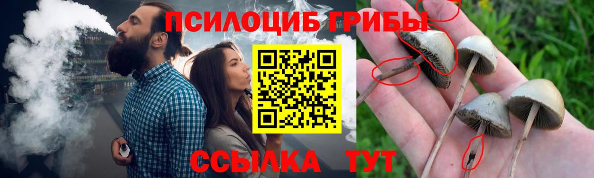 Псилоцибиновые грибы мухоморы Северобайкальск
