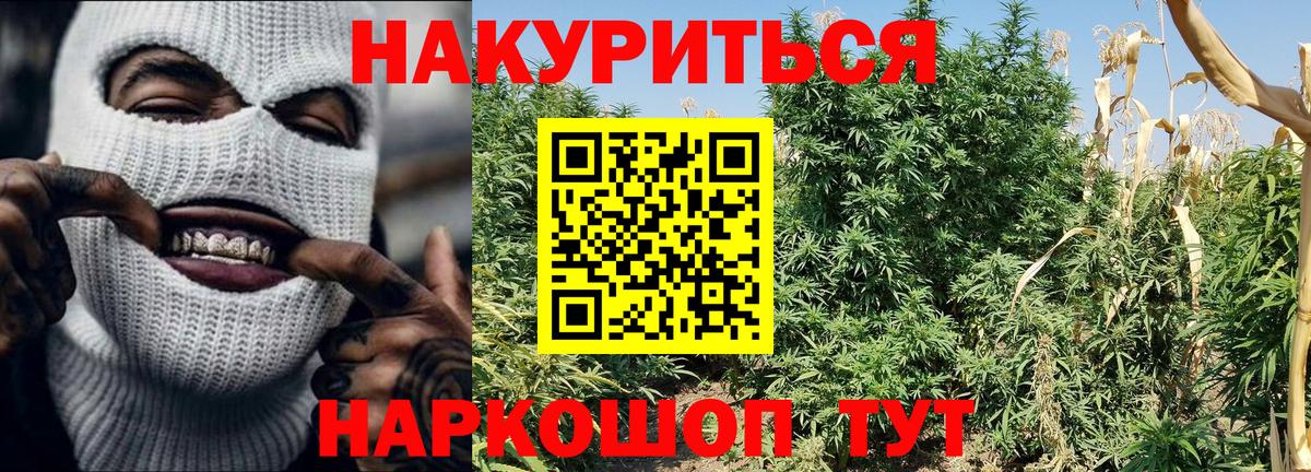 Каннабис Amnesia Северобайкальск